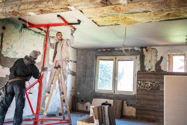 Best Blown-in Insulation  in Mapleton, MN