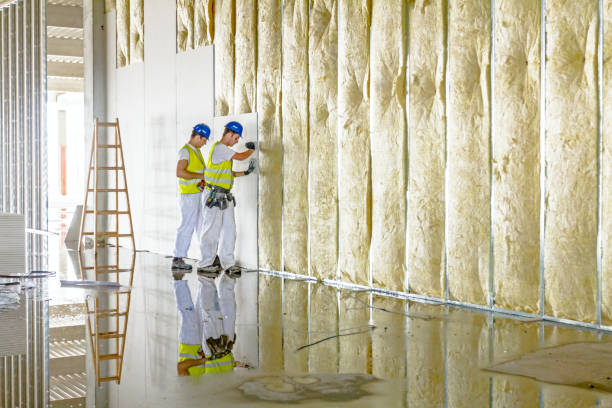 Best Attic Insulation Installation  in Mapleton, MN